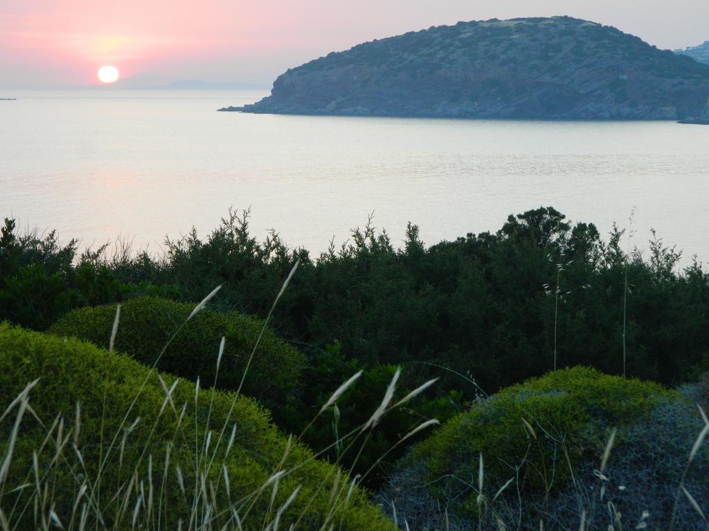 Sounio Palea Heaven Διαμέρισμα Παλαιά Φώκαια Εξωτερικό φωτογραφία